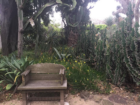 Cactus Garden at Rancho Los Alamitos